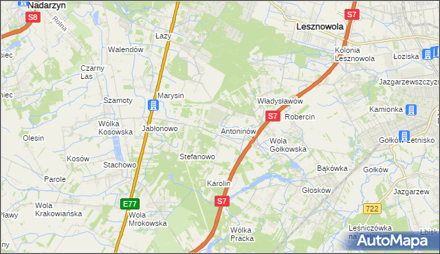 mapa Antoninów gmina Piaseczno, Antoninów gmina Piaseczno na mapie Targeo