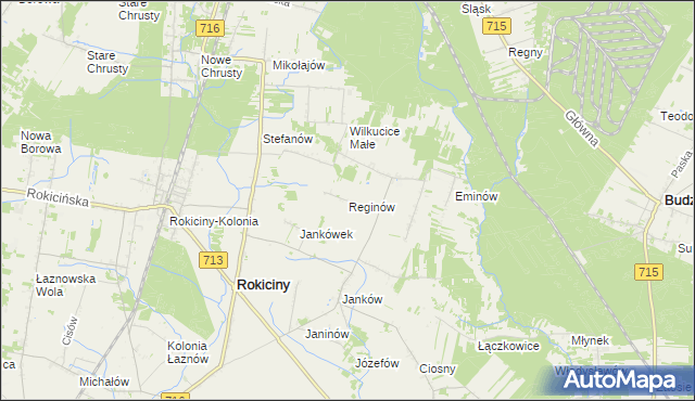 mapa Reginów, Reginów na mapie Targeo