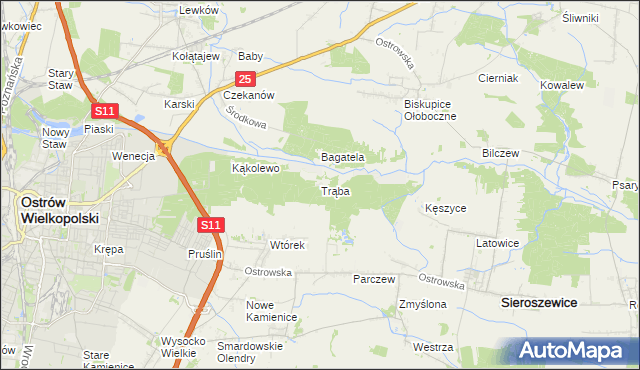 mapa Trąba, Trąba na mapie Targeo