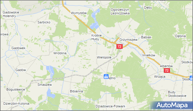 mapa Wielopole gmina Tuliszków, Wielopole gmina Tuliszków na mapie Targeo