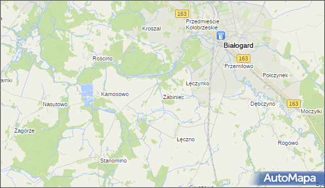 mapa Żabiniec gmina Białogard, Żabiniec gmina Białogard na mapie Targeo
