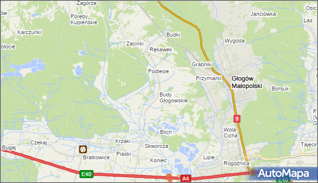 mapa Budy Głogowskie, Budy Głogowskie na mapie Targeo