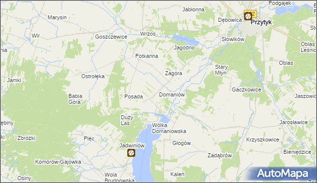 mapa Domaniów gmina Przytyk, Domaniów gmina Przytyk na mapie Targeo
