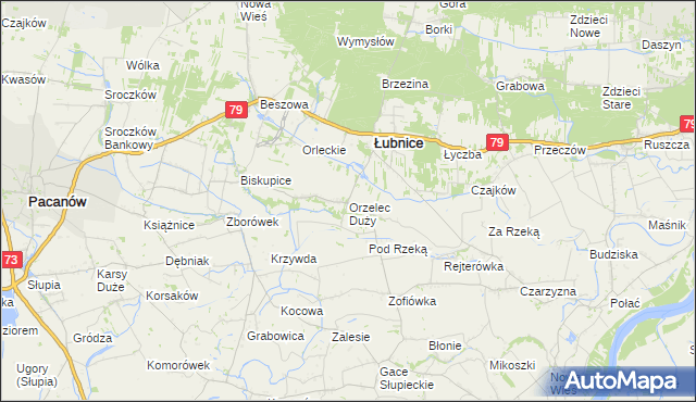 mapa Orzelec Duży, Orzelec Duży na mapie Targeo