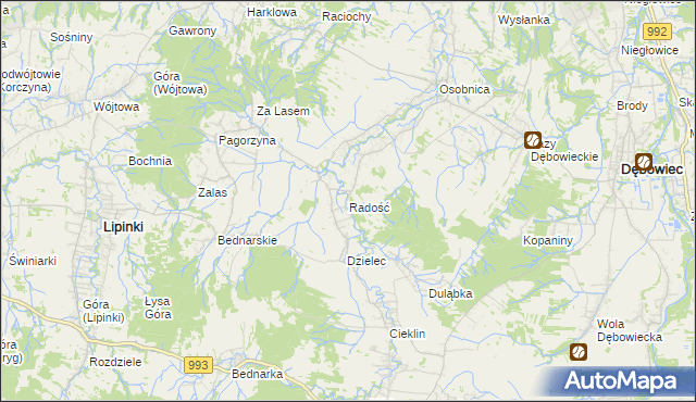 mapa Radość gmina Dębowiec, Radość gmina Dębowiec na mapie Targeo