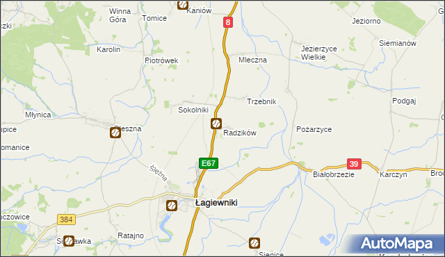 mapa Radzików gmina Łagiewniki, Radzików gmina Łagiewniki na mapie Targeo