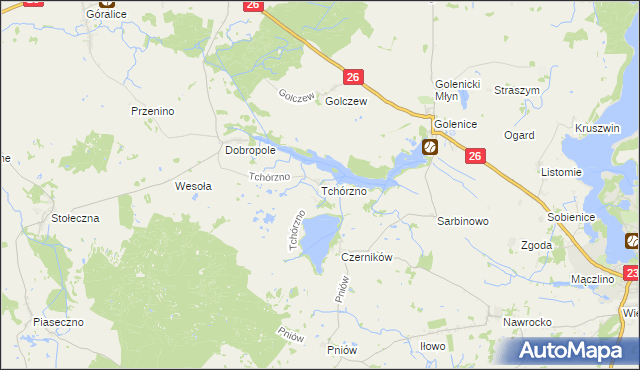 mapa Tchórzno, Tchórzno na mapie Targeo