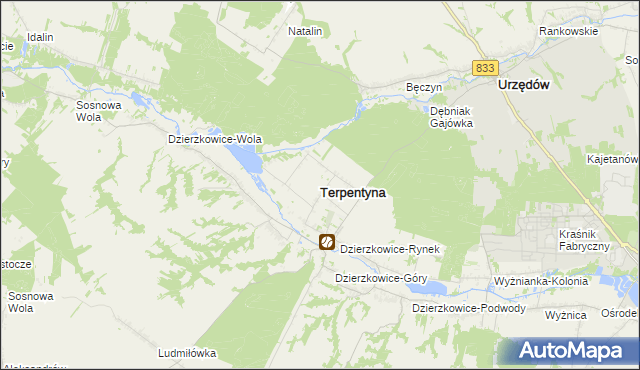 mapa Terpentyna, Terpentyna na mapie Targeo