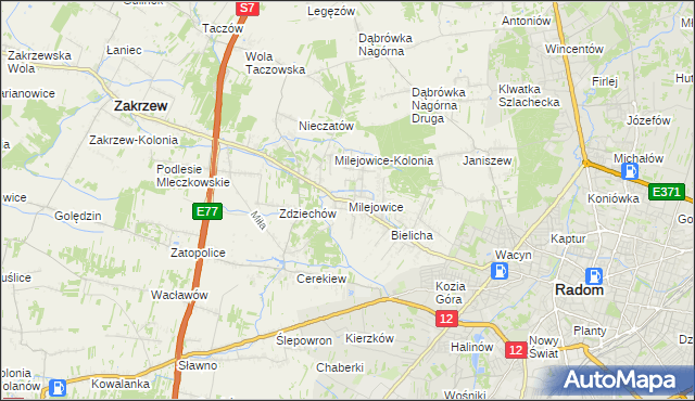 mapa Milejowice gmina Zakrzew, Milejowice gmina Zakrzew na mapie Targeo