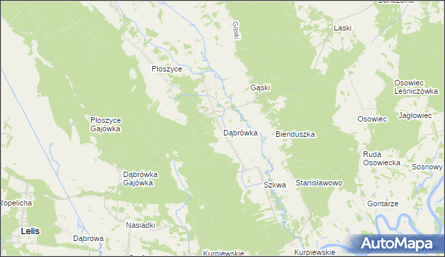 mapa Dąbrówka gmina Lelis, Dąbrówka gmina Lelis na mapie Targeo