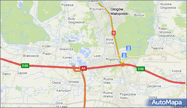 mapa Lipie gmina Głogów Małopolski, Lipie gmina Głogów Małopolski na mapie Targeo
