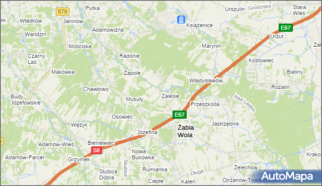 mapa Zalesie gmina Żabia Wola, Zalesie gmina Żabia Wola na mapie Targeo