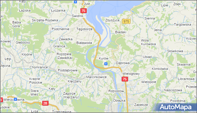 mapa Kurów gmina Chełmiec, Kurów gmina Chełmiec na mapie Targeo