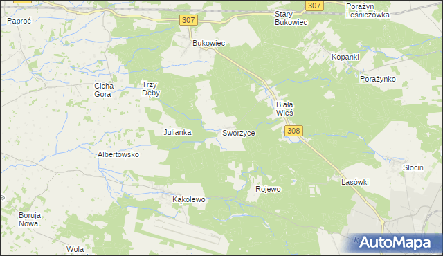 mapa Sworzyce gmina Grodzisk Wielkopolski, Sworzyce gmina Grodzisk Wielkopolski na mapie Targeo