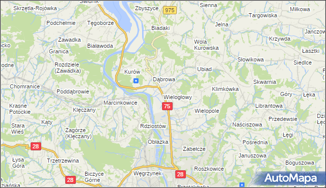 mapa Wielogłowy gmina Chełmiec, Wielogłowy gmina Chełmiec na mapie Targeo