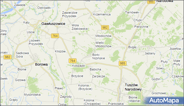 mapa Borki Nizińskie, Borki Nizińskie na mapie Targeo