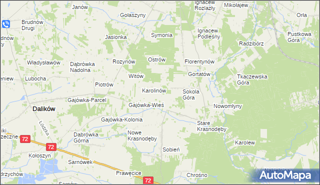 mapa Anastazew gmina Parzęczew, Anastazew gmina Parzęczew na mapie Targeo