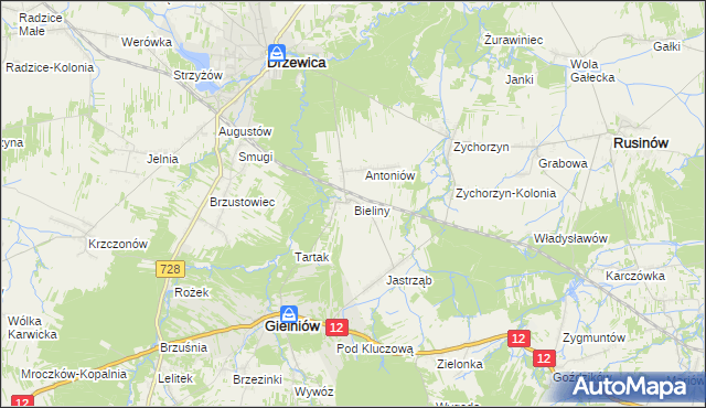 mapa Bieliny gmina Gielniów, Bieliny gmina Gielniów na mapie Targeo