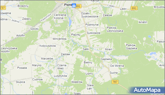 mapa Sałki gmina Pionki, Sałki gmina Pionki na mapie Targeo