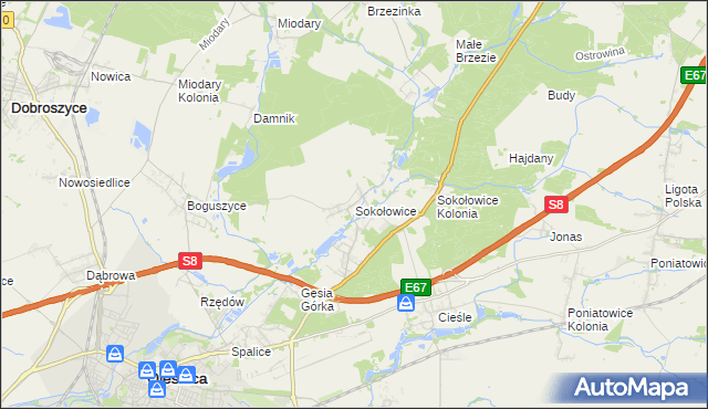 mapa Sokołowice gmina Oleśnica, Sokołowice gmina Oleśnica na mapie Targeo