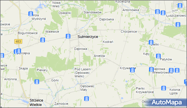 mapa Anielów gmina Sulmierzyce, Anielów gmina Sulmierzyce na mapie Targeo