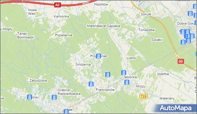 mapa Antoniew gmina Wiskitki, Antoniew gmina Wiskitki na mapie Targeo