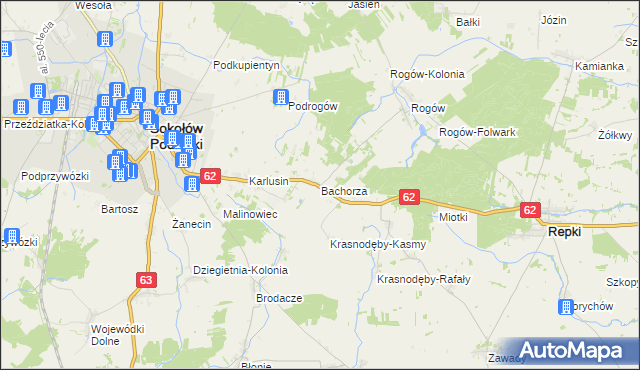 mapa Bachorza gmina Sokołów Podlaski, Bachorza gmina Sokołów Podlaski na mapie Targeo