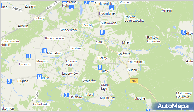 mapa Bieliny gmina Pionki, Bieliny gmina Pionki na mapie Targeo