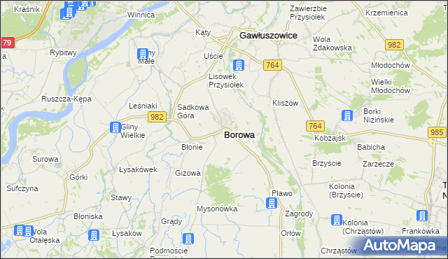 mapa Borowa powiat mielecki, Borowa powiat mielecki na mapie Targeo