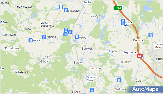 mapa Borówek gmina Prusice, Borówek gmina Prusice na mapie Targeo