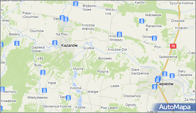 mapa Borowiec gmina Ciepielów, Borowiec gmina Ciepielów na mapie Targeo