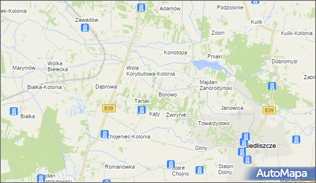 mapa Borowo gmina Siedliszcze, Borowo gmina Siedliszcze na mapie Targeo