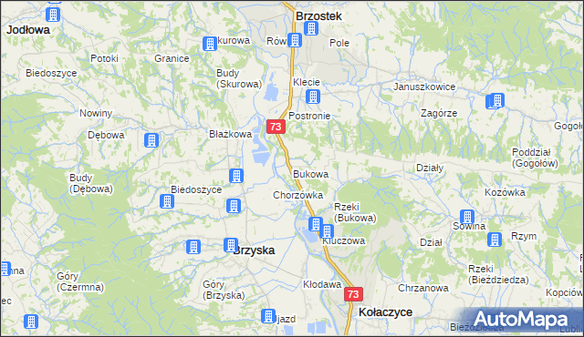 mapa Bukowa gmina Brzostek, Bukowa gmina Brzostek na mapie Targeo