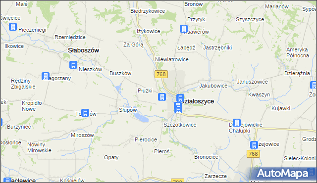mapa Chmielów gmina Działoszyce, Chmielów gmina Działoszyce na mapie Targeo