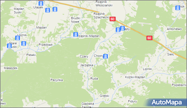 mapa Choiny gmina Wąsewo, Choiny gmina Wąsewo na mapie Targeo