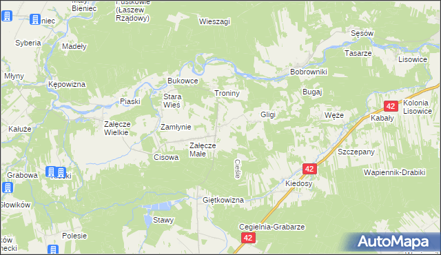 mapa Cieśle gmina Pątnów, Cieśle gmina Pątnów na mapie Targeo