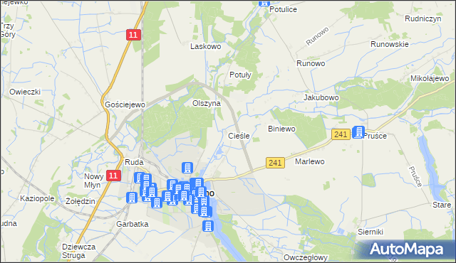 mapa Cieśle gmina Rogoźno, Cieśle gmina Rogoźno na mapie Targeo