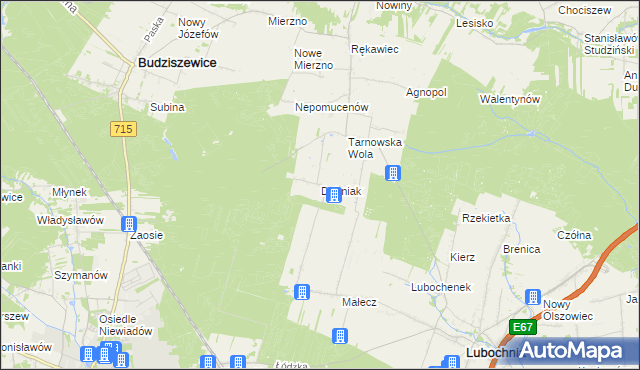 mapa Dębniak gmina Lubochnia, Dębniak gmina Lubochnia na mapie Targeo