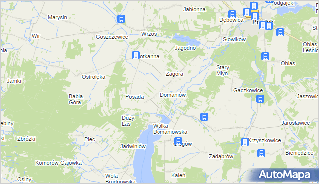 mapa Domaniów gmina Przytyk, Domaniów gmina Przytyk na mapie Targeo