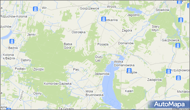 mapa Duży Las gmina Przytyk, Duży Las gmina Przytyk na mapie Targeo