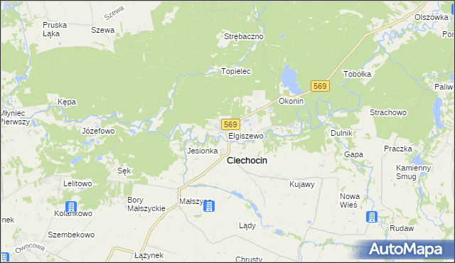 mapa Elgiszewo, Elgiszewo na mapie Targeo