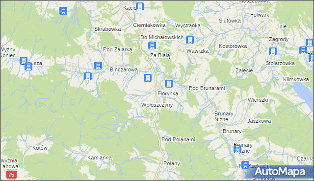 mapa Florynka, Florynka na mapie Targeo