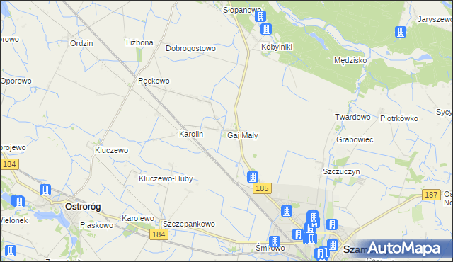 mapa Gaj Mały gmina Obrzycko, Gaj Mały gmina Obrzycko na mapie Targeo