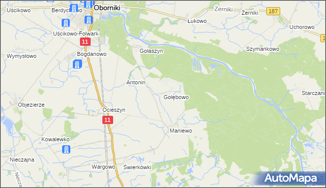 mapa Gołębowo, Gołębowo na mapie Targeo