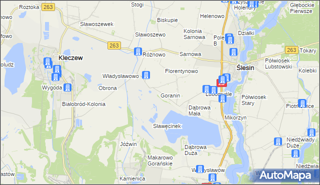 mapa Goranin gmina Ślesin, Goranin gmina Ślesin na mapie Targeo