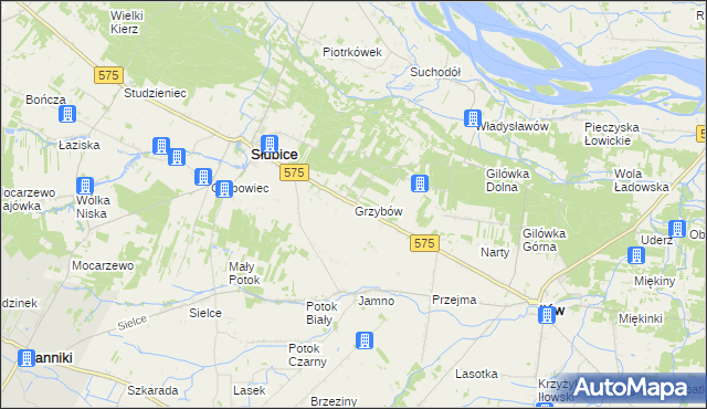 mapa Grzybów gmina Słubice, Grzybów gmina Słubice na mapie Targeo