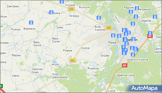 mapa Kozice gmina Gostynin, Kozice gmina Gostynin na mapie Targeo