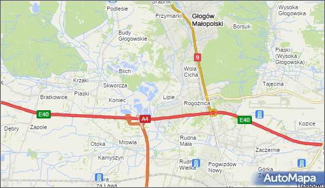 mapa Lipie gmina Głogów Małopolski, Lipie gmina Głogów Małopolski na mapie Targeo