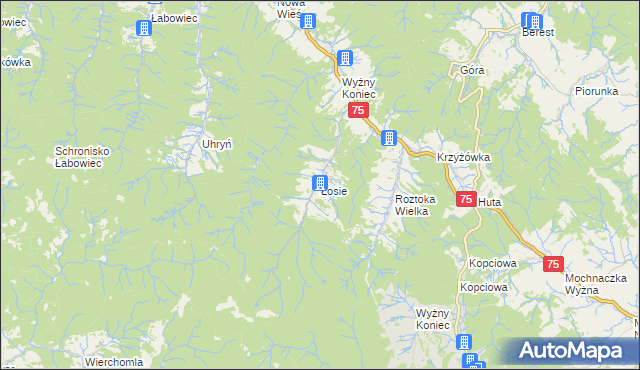 mapa Łosie gmina Łabowa, Łosie gmina Łabowa na mapie Targeo