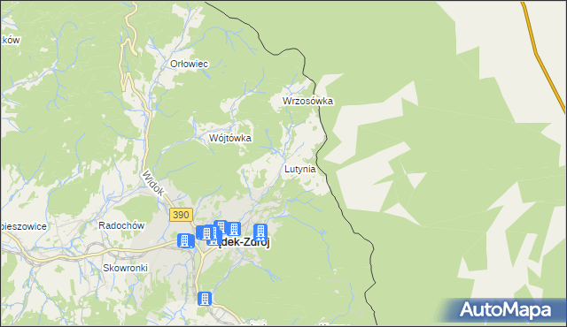 mapa Lutynia gmina Lądek-Zdrój, Lutynia gmina Lądek-Zdrój na mapie Targeo